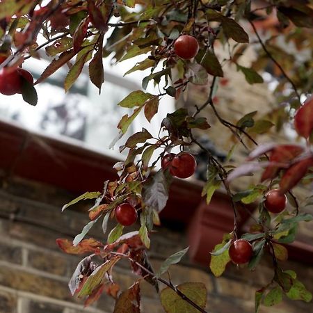 Luxury London Garden Home Sleep 7, 2 Mins To Metro Экстерьер фото