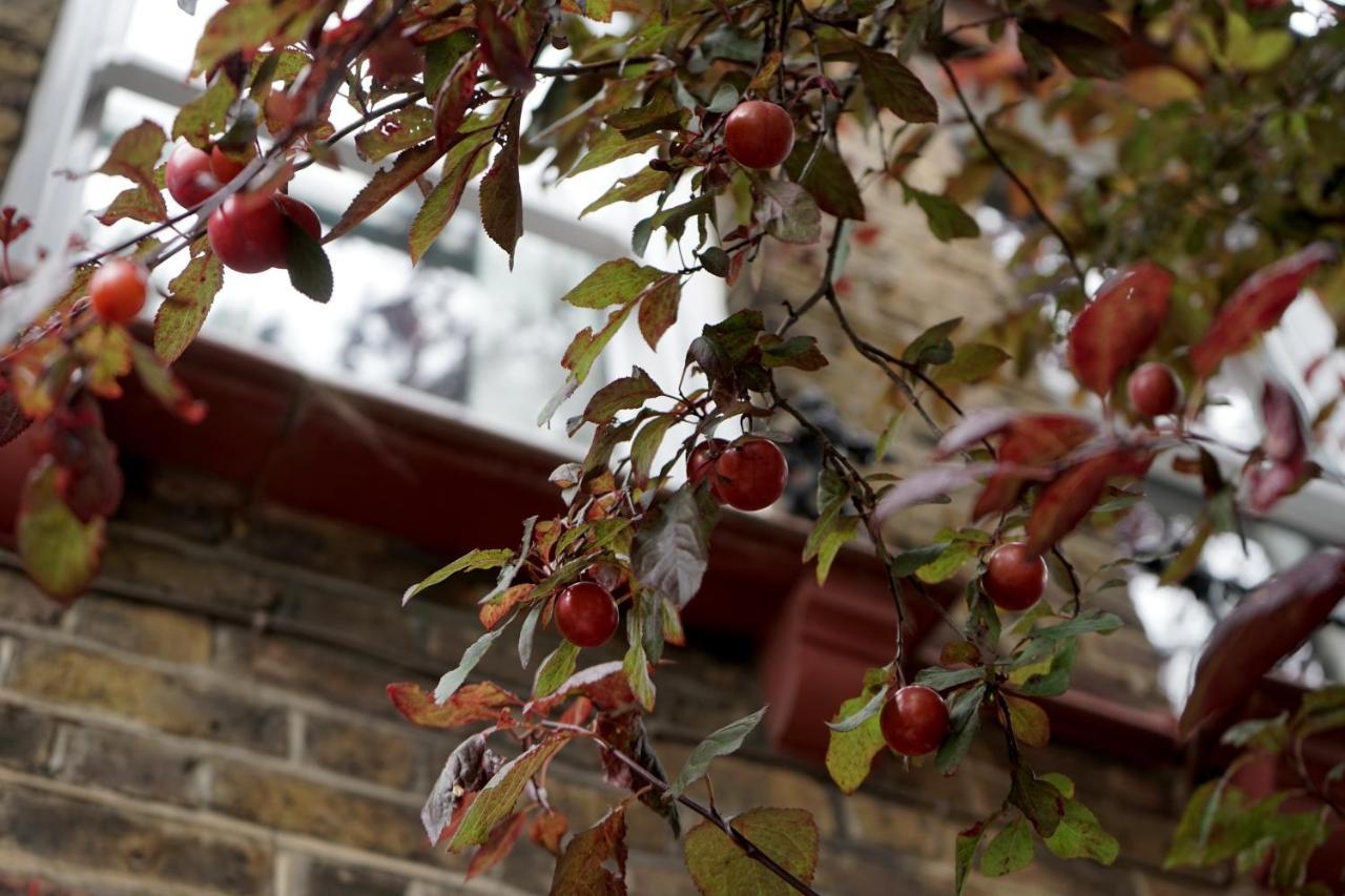 Luxury London Garden Home Sleep 7, 2 Mins To Metro Экстерьер фото